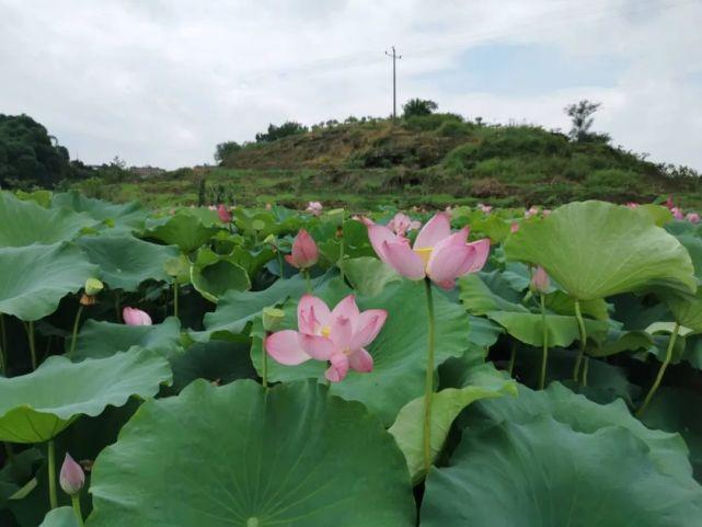 第555页