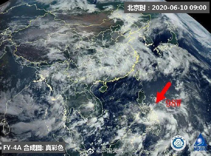 台风鹦鹉最新动态，中山的温馨日常与台风互动观察