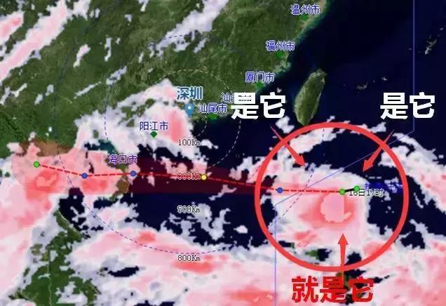 第497页