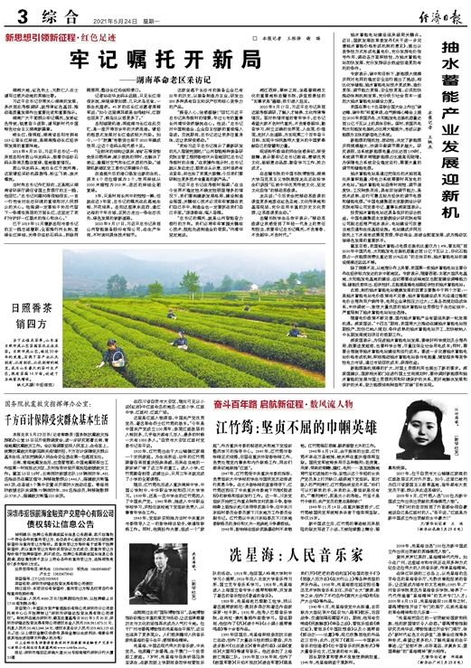 伊春最新招聘信息揭秘，小巷中的职业探索之旅