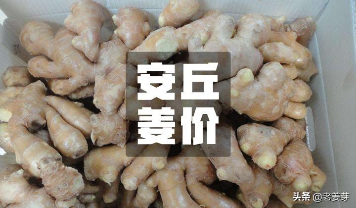 清华大学生医药校友会 第89页