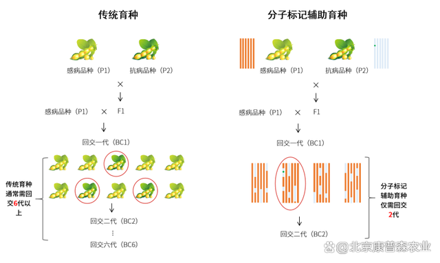 弱势儿童多元教育 第19页