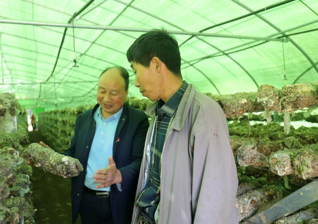 赫章县西城区最新图片，自然美景探索之旅独家呈现